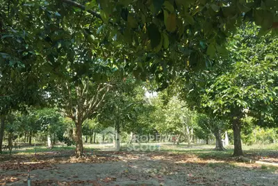 image_rental-20169914