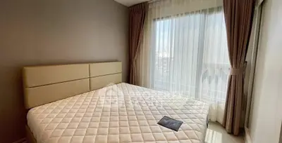 2031572.jpg
