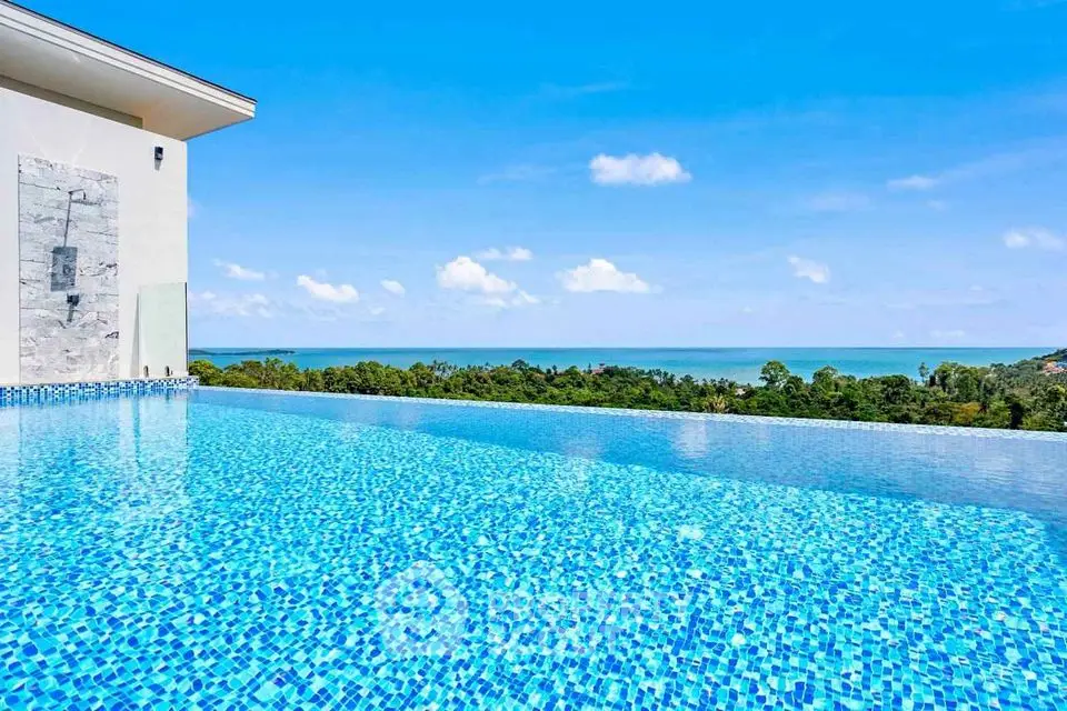 Stunning infinity pool with breathtaking ocean view in luxury property