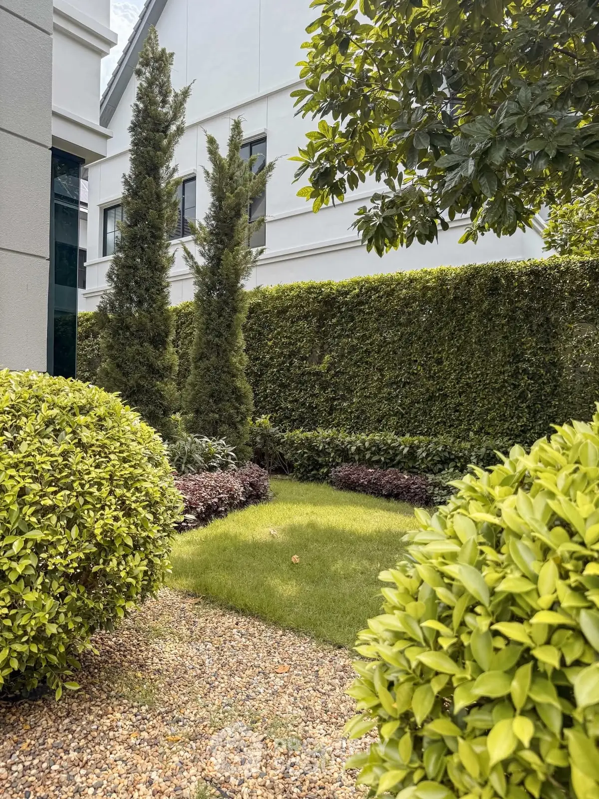 Lush garden with manicured hedges and trees in modern property exterior