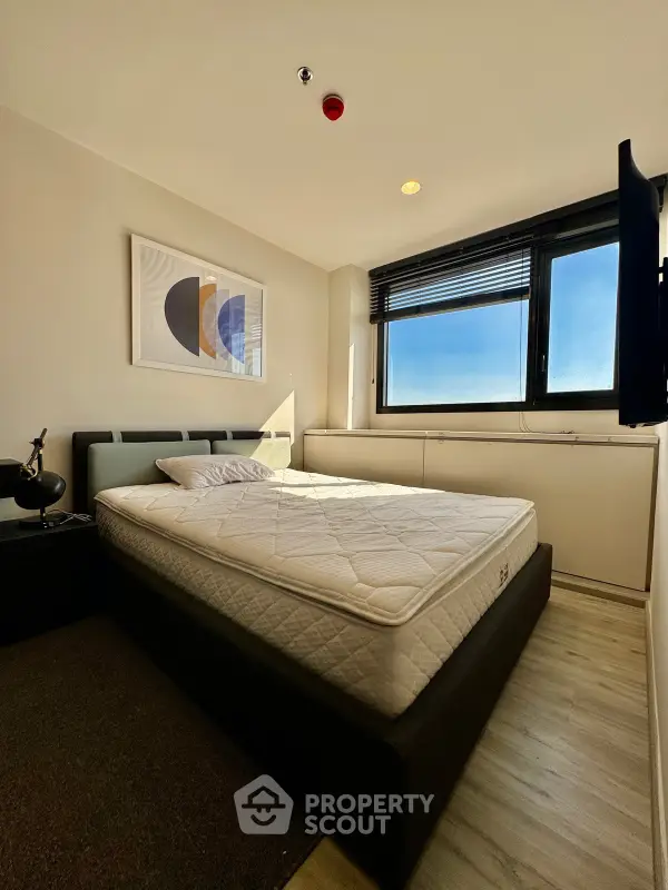 image_rental-29624742