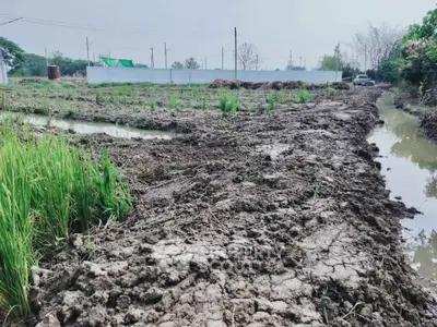 Expansive agricultural land with potential for development, featuring lush greenery and water channels.