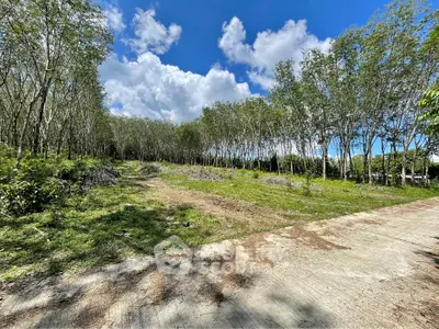 image_rental-27751639