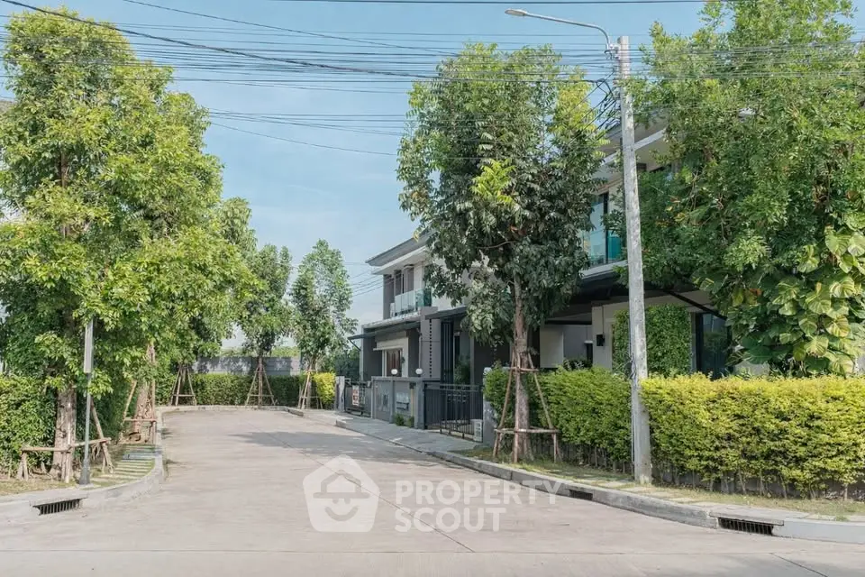 Charming suburban street with modern homes and lush greenery