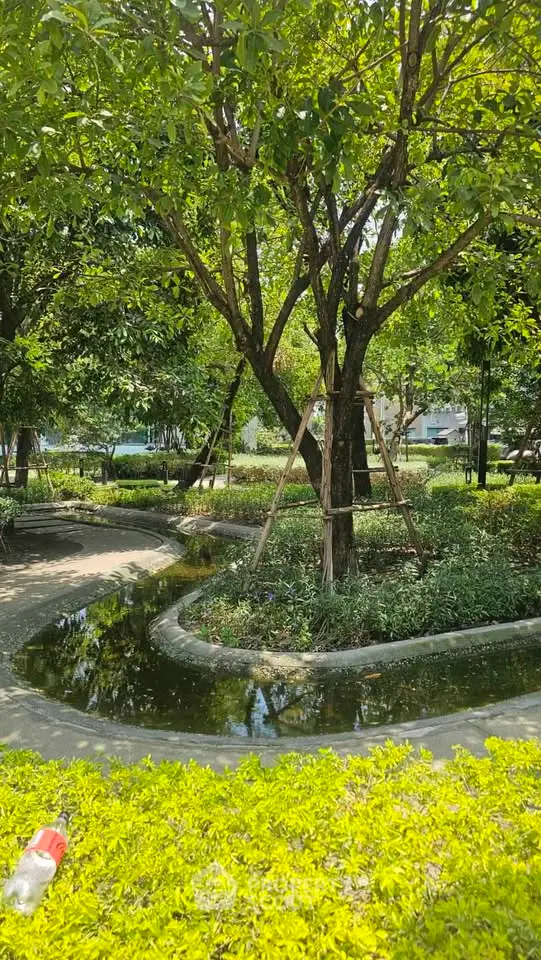 Lush green garden with trees and a small pond in a serene residential area.