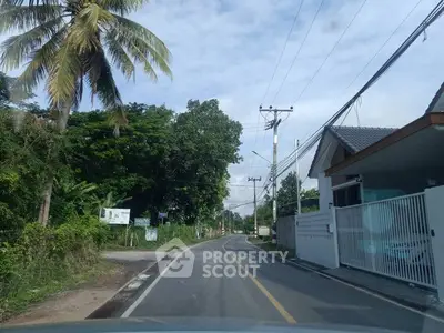 Scenic suburban road with lush greenery and residential houses