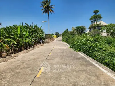Scenic rural road with lush greenery and clear blue sky, perfect for serene living.