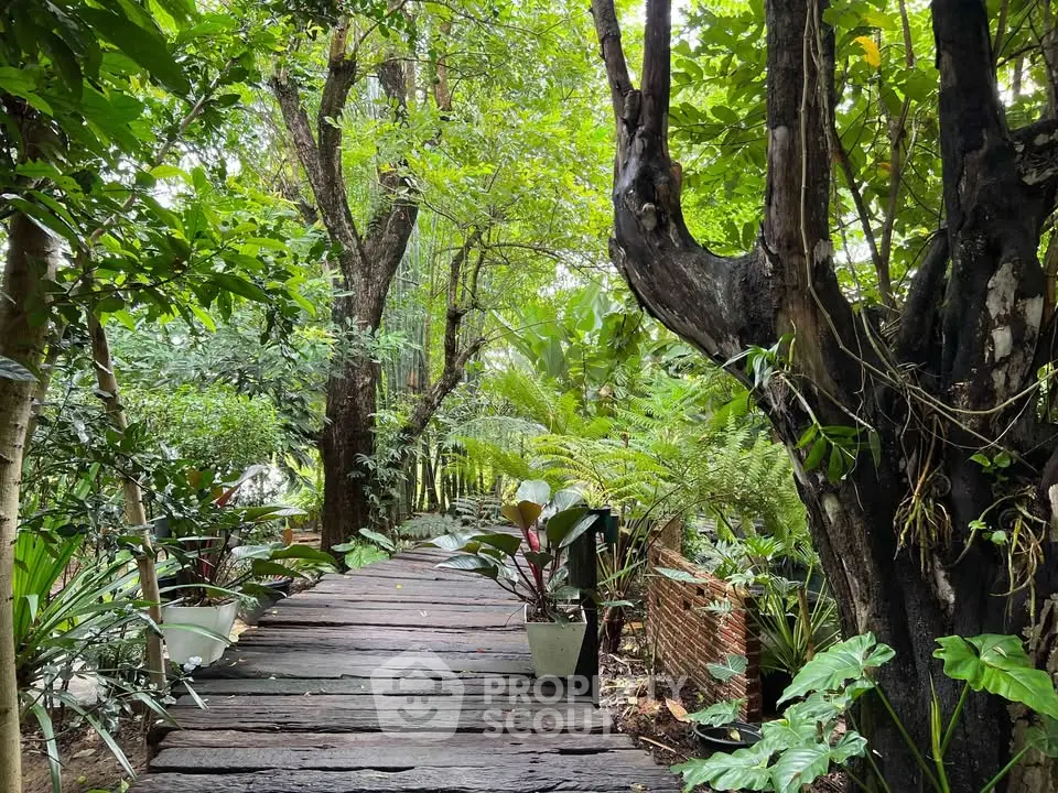 Enchanting garden pathway surrounded by lush greenery and mature trees