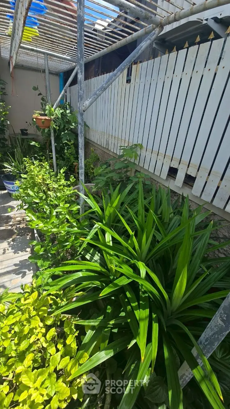 Charming garden area with lush greenery and partial wooden fencing, perfect for relaxation.