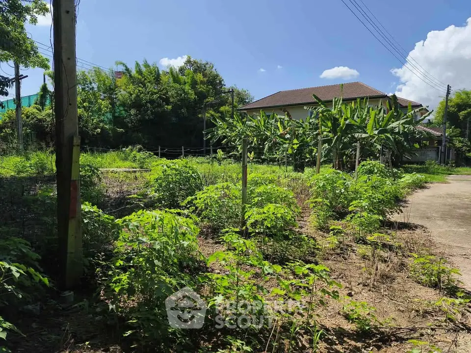 Spacious residential land with lush greenery and clear blue sky, perfect for building your dream home.