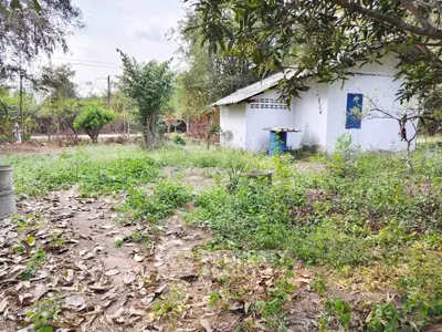 Charming rural property with lush greenery and quaint white house, perfect for nature lovers seeking tranquility.