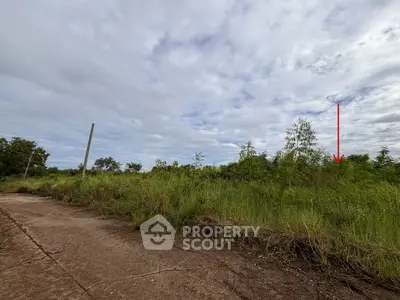 image_rental-27049009