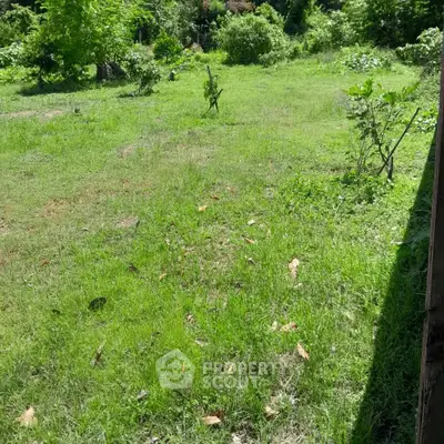 Spacious green land plot ideal for development or investment opportunities.