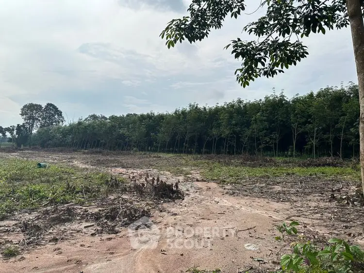 Expansive land plot with lush greenery, perfect for development or agriculture.