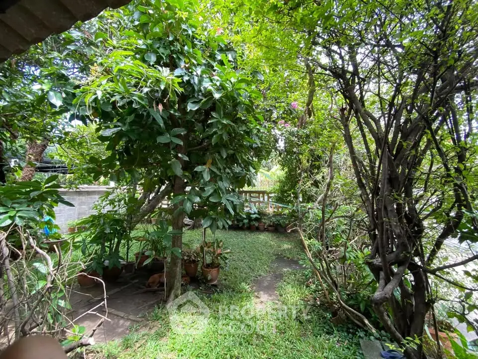 Lush garden oasis with vibrant greenery and potted plants, perfect for relaxation.