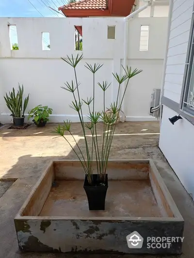 Charming outdoor patio with potted plants and modern white wall design