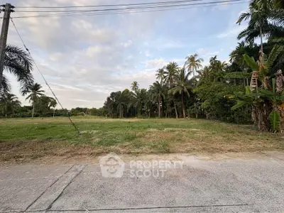 Expansive tropical land plot with lush greenery and palm trees, perfect for development or investment.