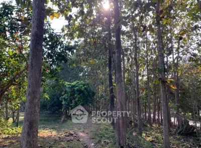 Screenshot 2026-03-28 200557.png