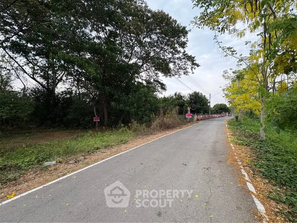 Scenic road surrounded by lush greenery, ideal for serene real estate development.