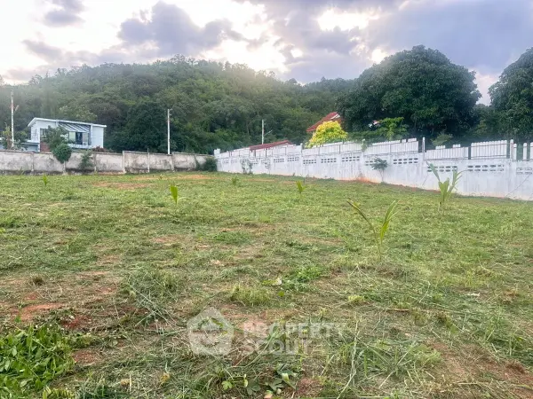 image_rental-27357692