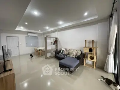 Spacious modern living room with sleek furniture and cat play area, perfect for relaxation and entertainment.