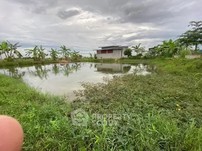 Scenic rural property with pond and lush greenery, perfect for nature lovers seeking tranquility.