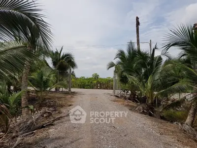 Tropical entrance with palm trees leading to a serene property