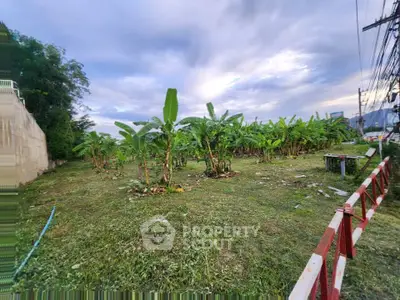 Spacious land plot with lush greenery and banana trees, ideal for development or agriculture.