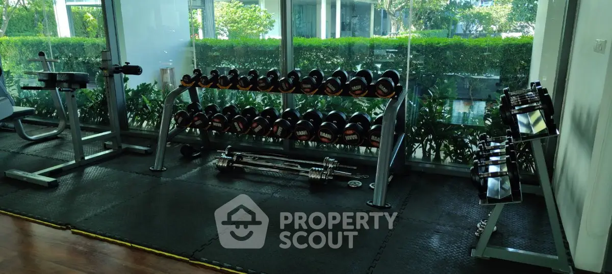 Modern gym with large windows and lush greenery view, featuring a variety of dumbbells and fitness equipment.