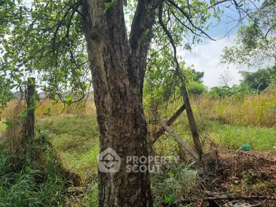 Lush green field with a tree and rustic fence, perfect for serene countryside living.