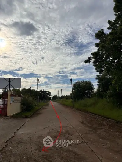Scenic rural road with lush greenery and expansive sky view