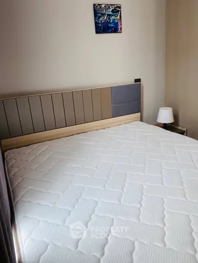 Cozy bedroom with modern bed frame and soft lighting