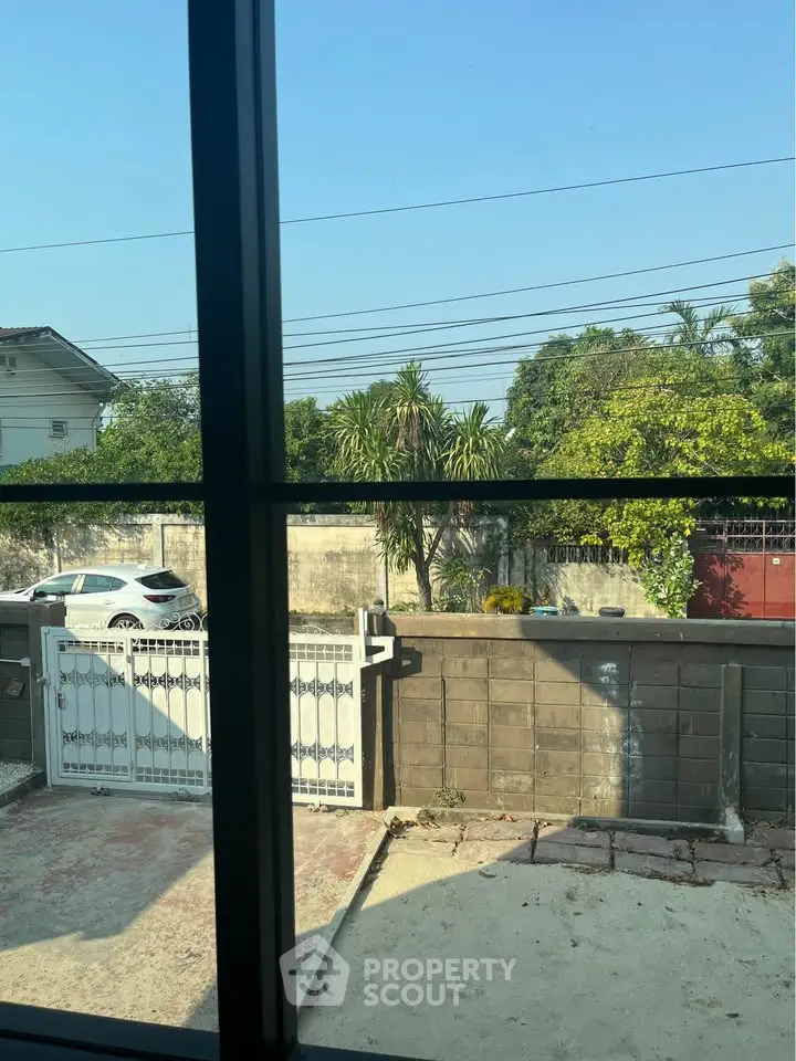 Charming residential view from window showcasing driveway and lush greenery.