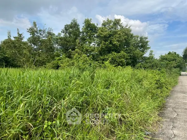 image_rental-11093148