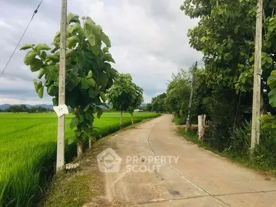 Scenic rural road with lush greenery and open fields, perfect for tranquil living.