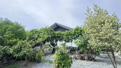 Charming house with lush garden and greenery, perfect for nature lovers.