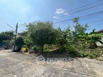 Vacant land plot with lush greenery and clear blue sky, ideal for development.