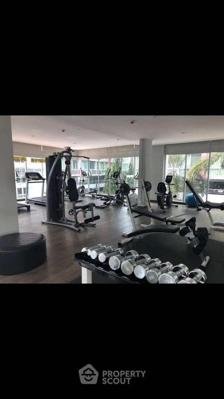 Modern gym with state-of-the-art equipment and large windows for natural light.