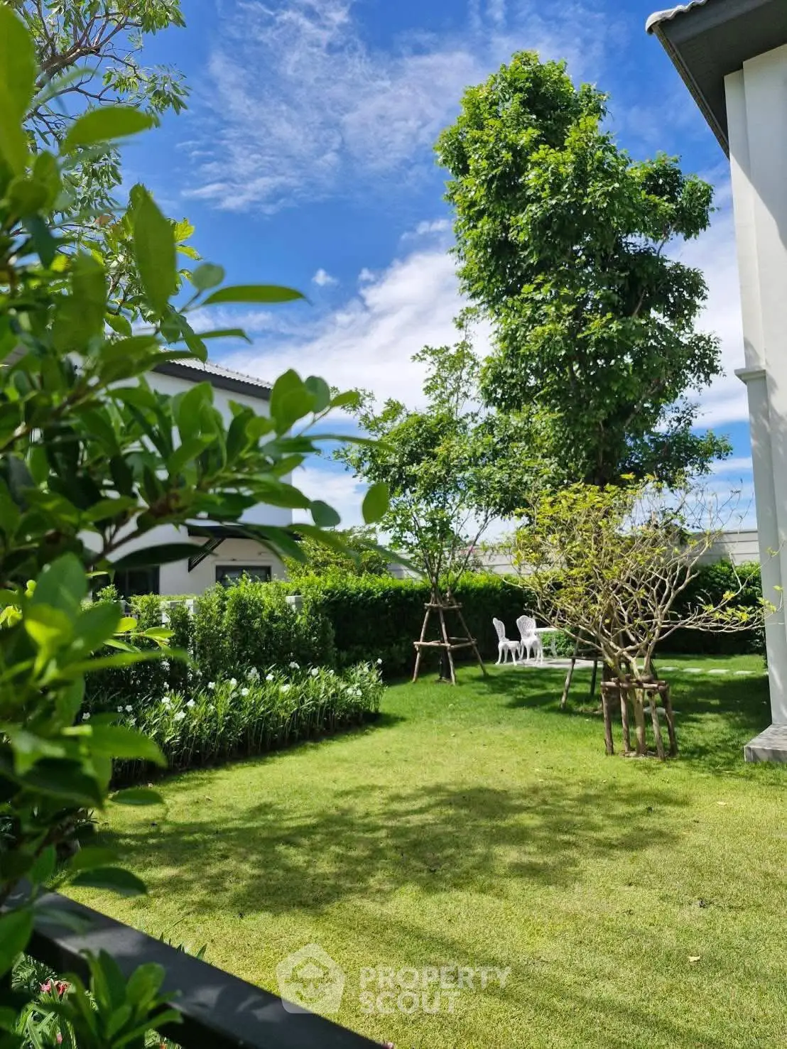 Beautiful garden view with lush greenery and clear blue sky, perfect for outdoor relaxation.