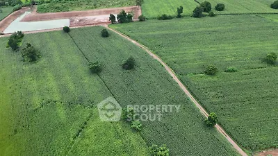 Expansive aerial view of lush green farmland with a winding path and small water body, ideal for agricultural investment.