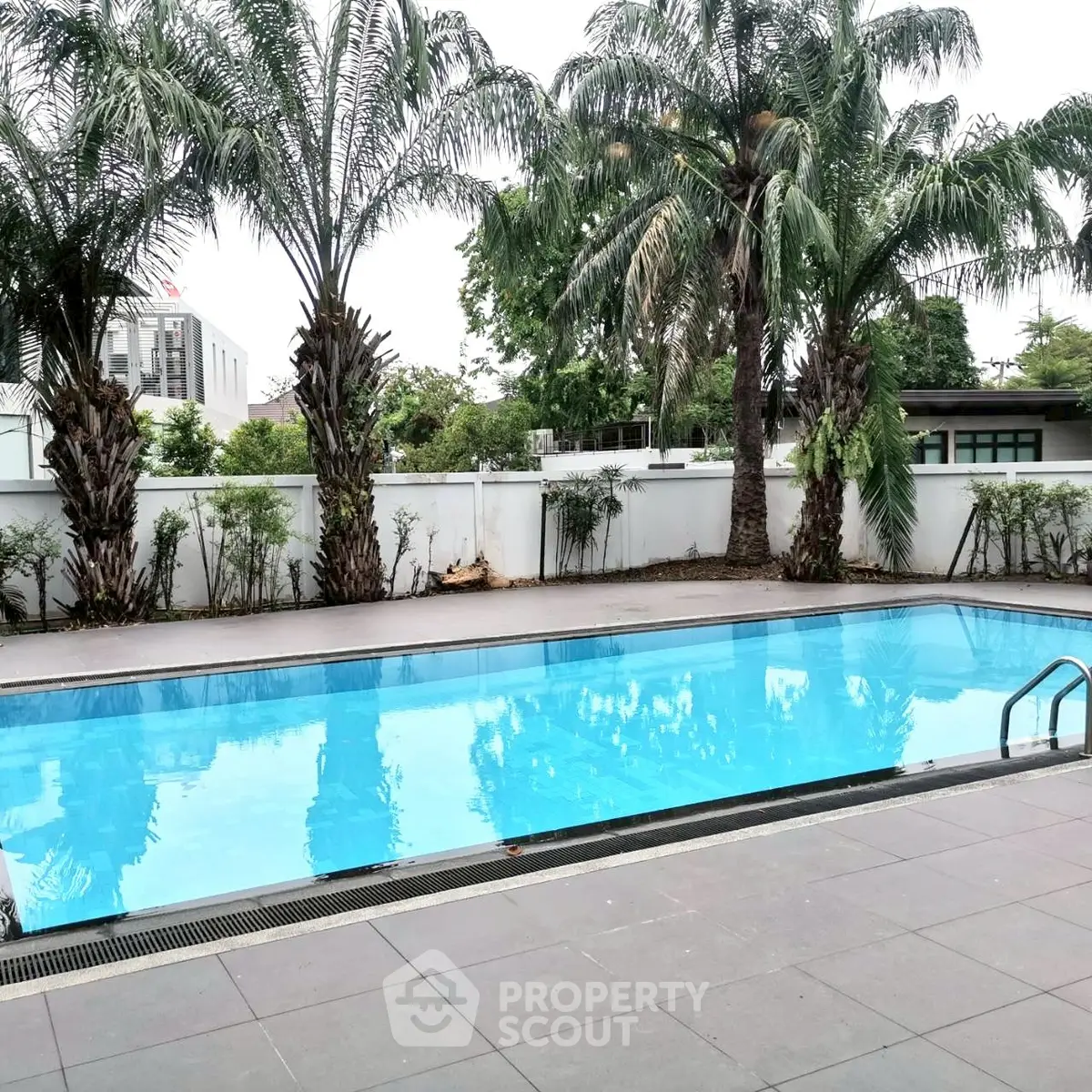 Luxurious outdoor pool surrounded by lush palm trees in a serene setting.