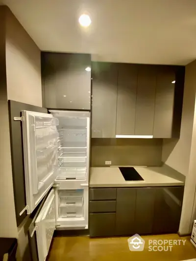 Modern kitchen with sleek cabinetry and built-in fridge in contemporary apartment