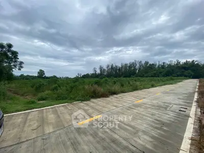 Expansive land plot with paved road access and lush greenery, ideal for development opportunities.