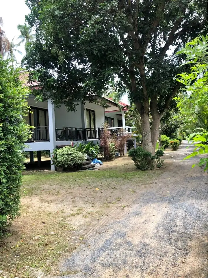 Charming elevated house with lush garden and spacious outdoor area, perfect for serene living.