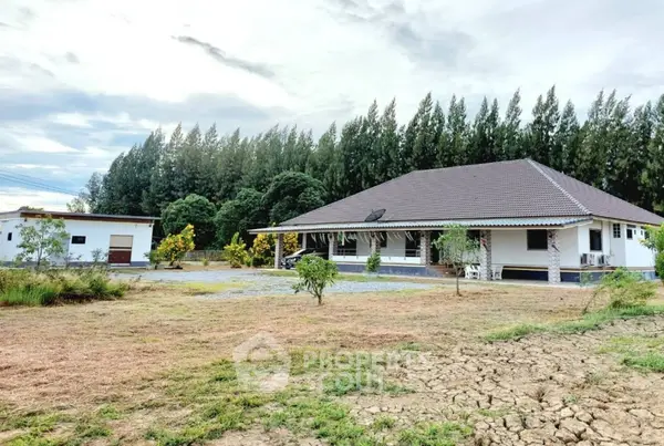 image_rental-20860888