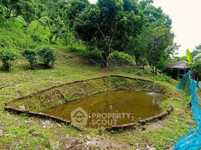 Charming rural property with a small pond surrounded by lush greenery, perfect for nature lovers.