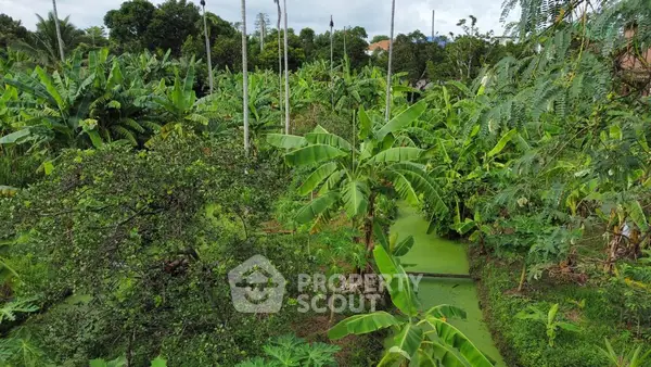 image_rental-13887582