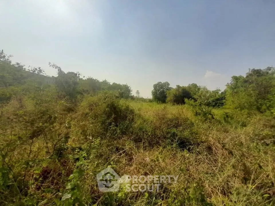 Expansive green land plot with lush vegetation, perfect for development opportunities.