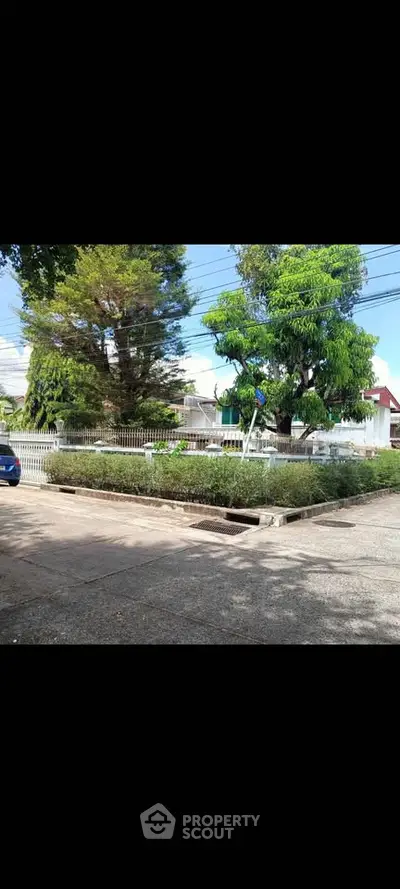 Charming suburban street view with lush greenery and residential homes.