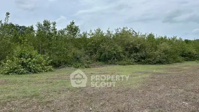 Expansive plot of land with lush greenery, perfect for development or investment opportunities.